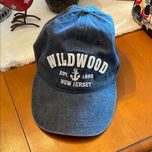 Wildwood Blue Cap